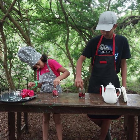 Nature'S Nest Eco Resort Goa, Near Dudhsagar Waterfalls Molem エクステリア 写真