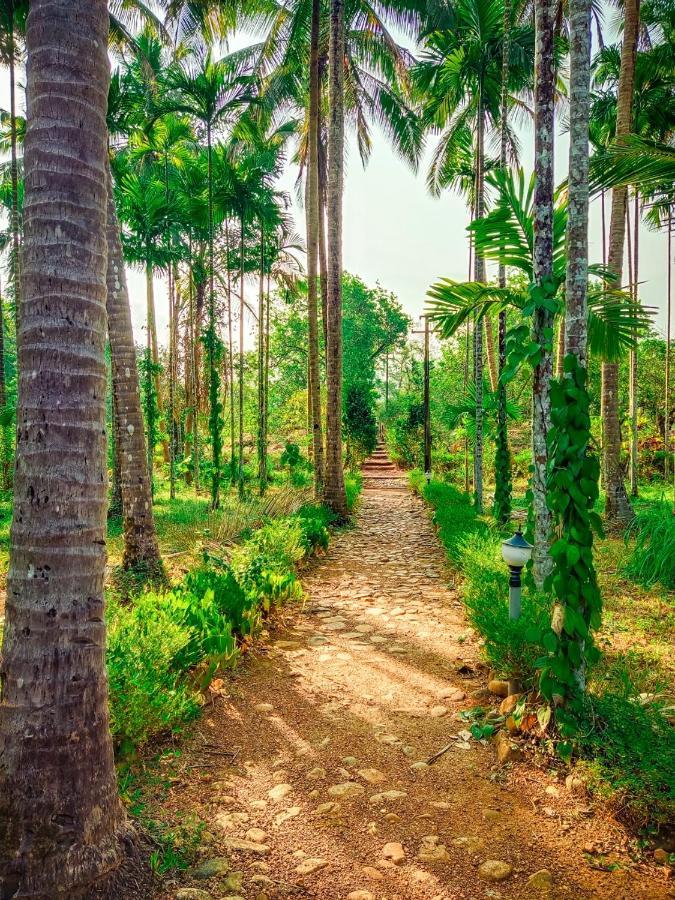 Nature'S Nest Eco Resort Goa, Near Dudhsagar Waterfalls Molem エクステリア 写真