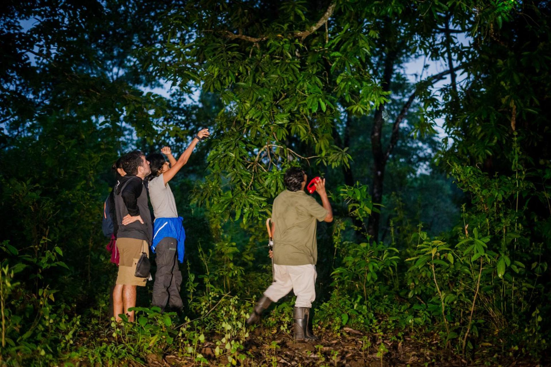 Nature'S Nest Eco Resort Goa, Near Dudhsagar Waterfalls Molem エクステリア 写真