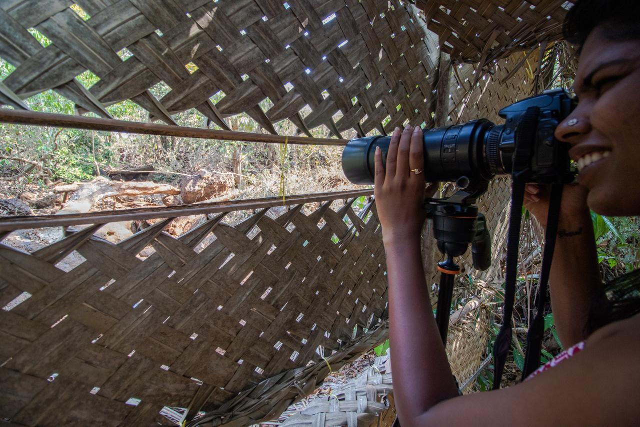 Nature'S Nest Eco Resort Goa, Near Dudhsagar Waterfalls Molem エクステリア 写真